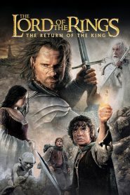 The Lord of the Rings: The Return of the King 2003 | සිංහල උපසිරස සමග