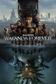 Black Panther: Wakanda Forever 2022 | සිංහල උපසිරස සමග