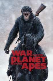War for the Planet of the Apes 2017 | සිංහල උපසිරැසි සමඟ